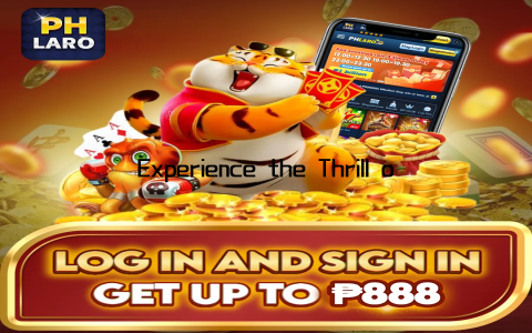 Experience the Thrill of Online Casino Gaming